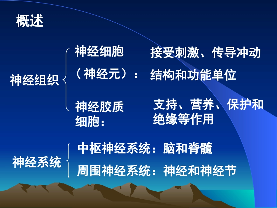 神经组织(徐医)组织胚胎学_第2页
