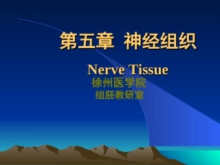 神经组织(徐医)组织胚胎学