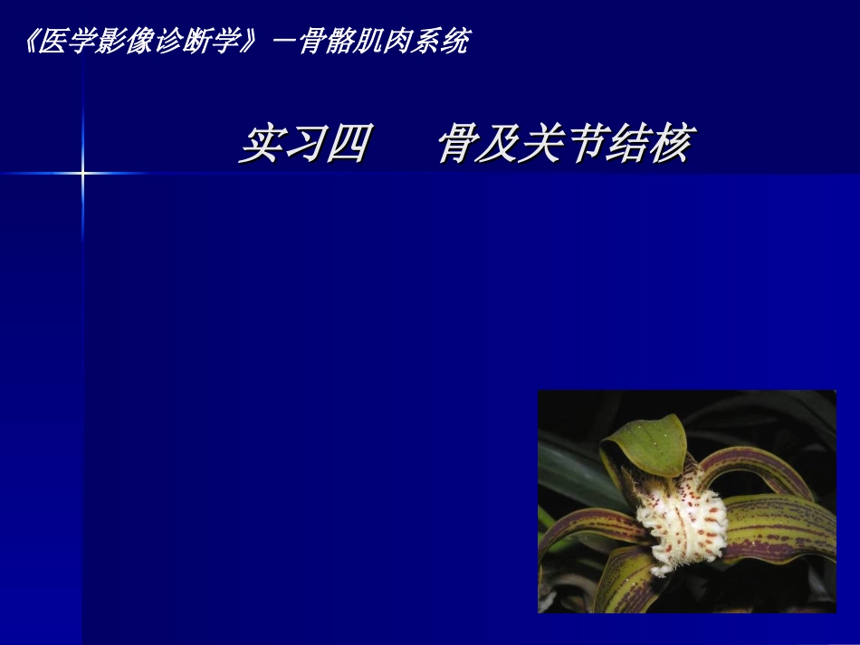 实习4--(2)-骨及关节结核_第1页