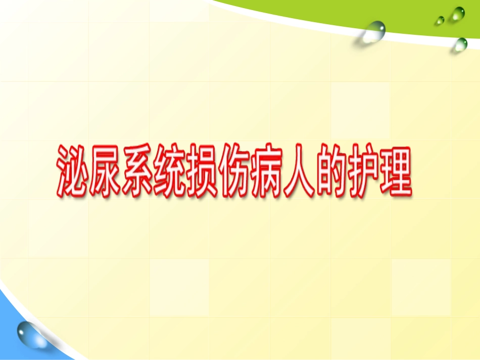 泌尿系统损伤剖析_第1页
