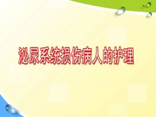 泌尿系统损伤剖析