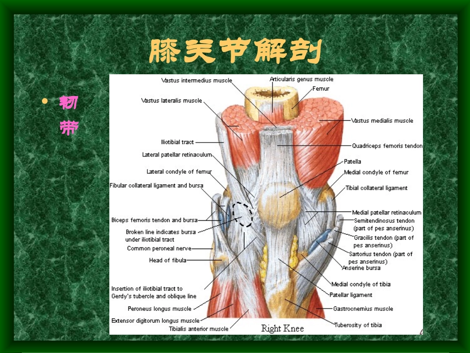 膝骨关节MRI_第2页