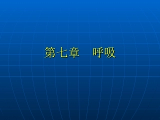 呼吸过程(精)