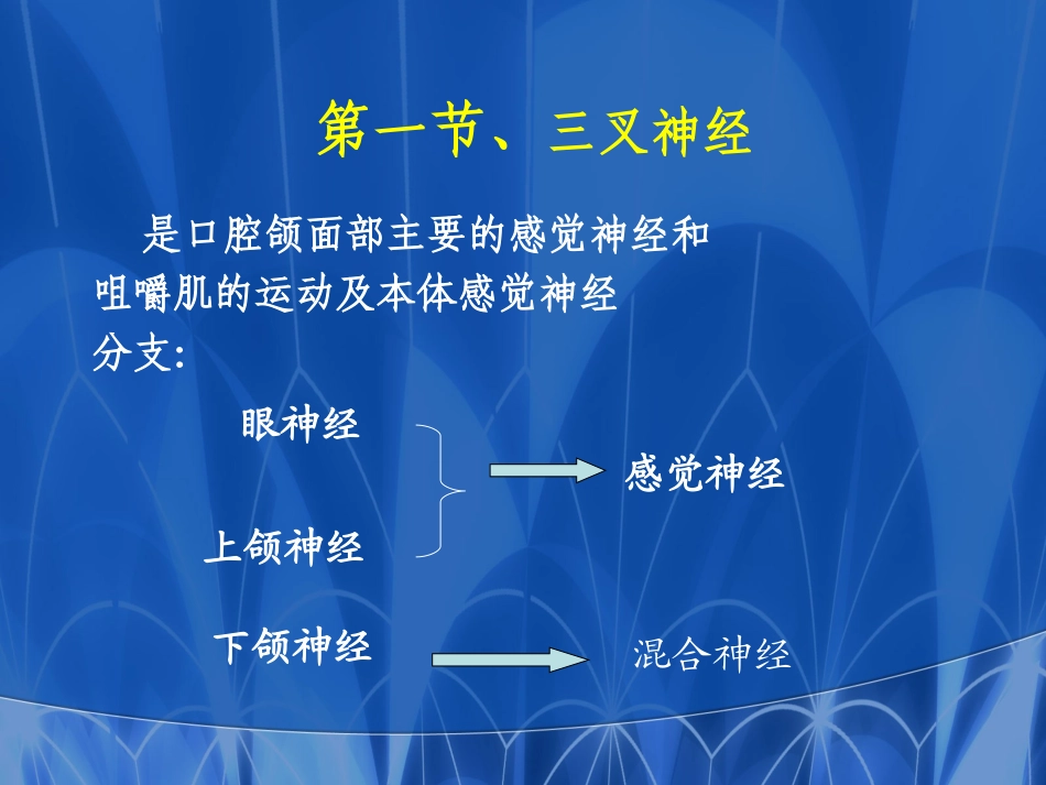 口腔医师3神经_第3页