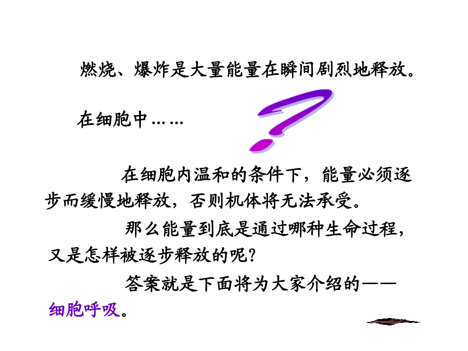 ATP的主要来源——细胞呼吸-(共69张ppt)_第3页