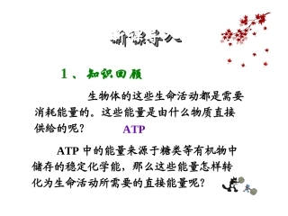 ATP的主要来源——细胞呼吸-(共69张ppt)