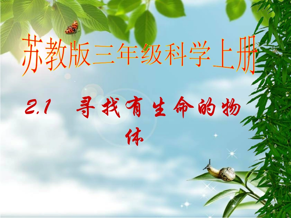 寻找有生命的物体_第1页