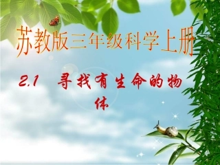 寻找有生命的物体