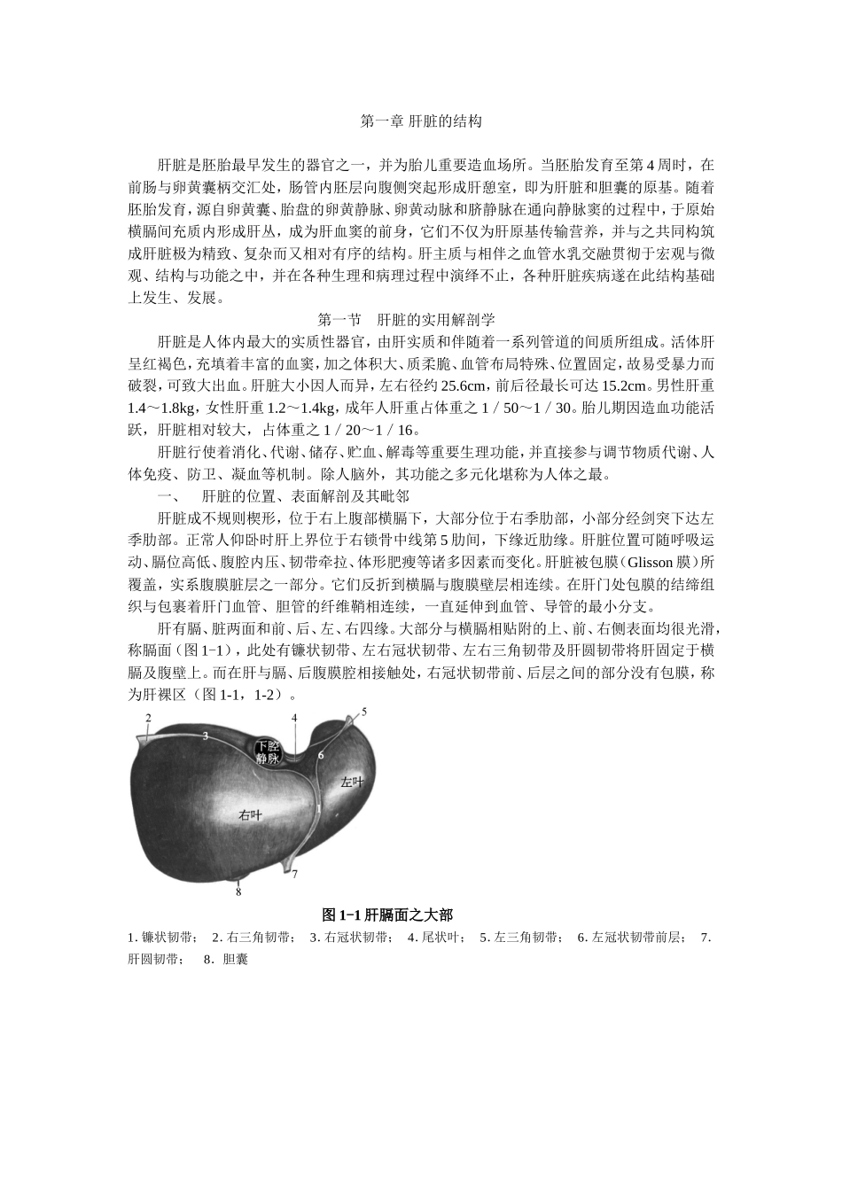 第1章肝脏的结构(赵慧娟)_第1页