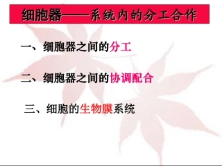 y细胞器—系统内的分工合作