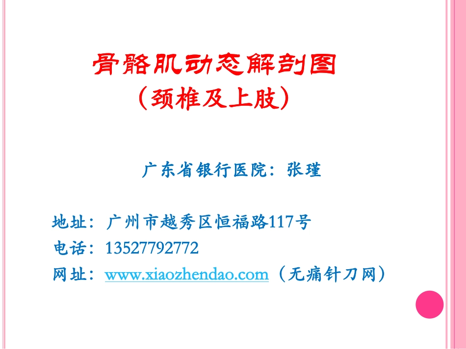 骨骼肌动态解剖图 1_第1页