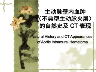 壁内血肿演变及CT表现(讲课)