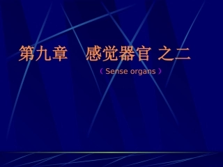 感觉器官 之二