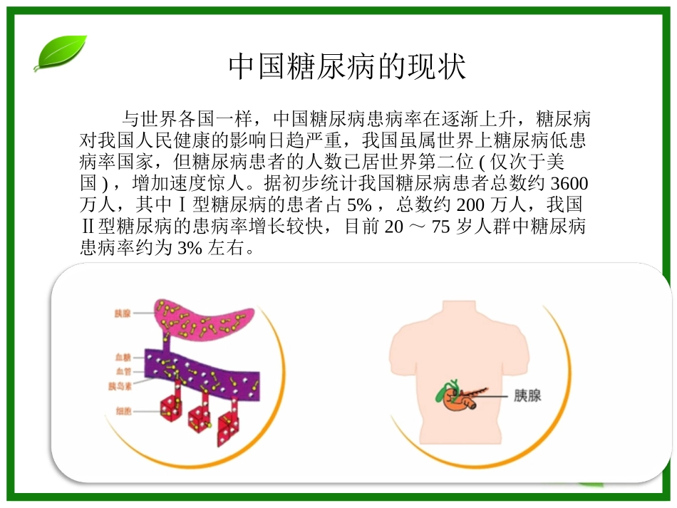 糖尿病PPT_第3页