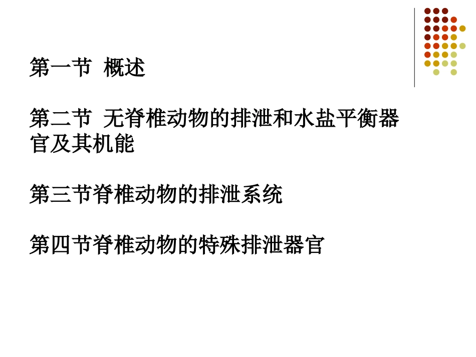 动物的排泄和体内水盐平衡_第2页