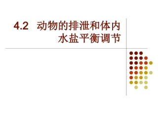 动物的排泄和体内水盐平衡