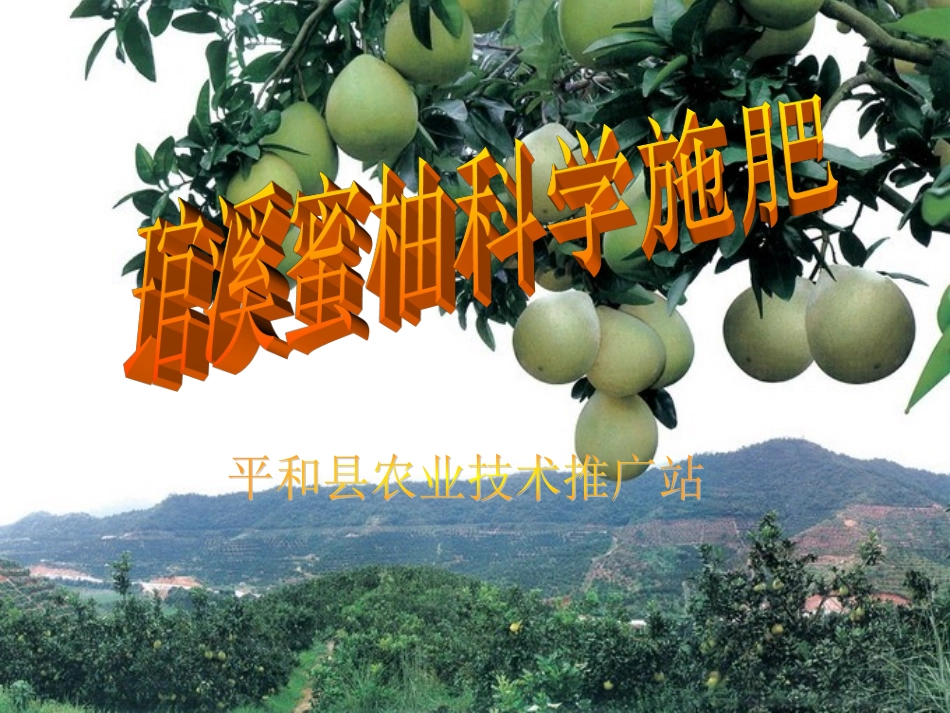 琯溪蜜柚科学施肥_第1页