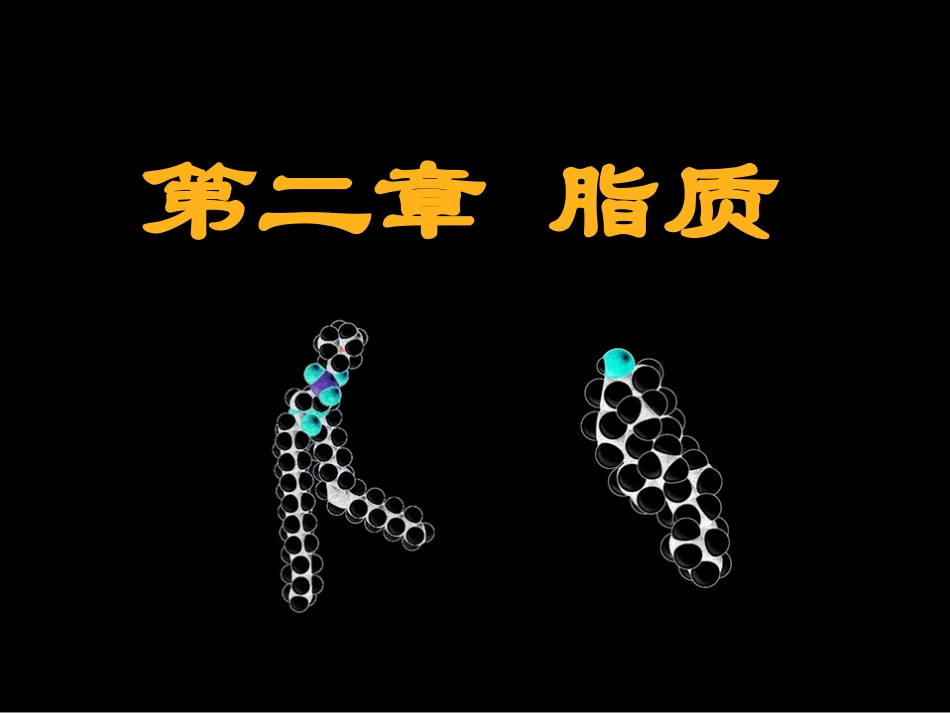 第02章 脂类下_第1页