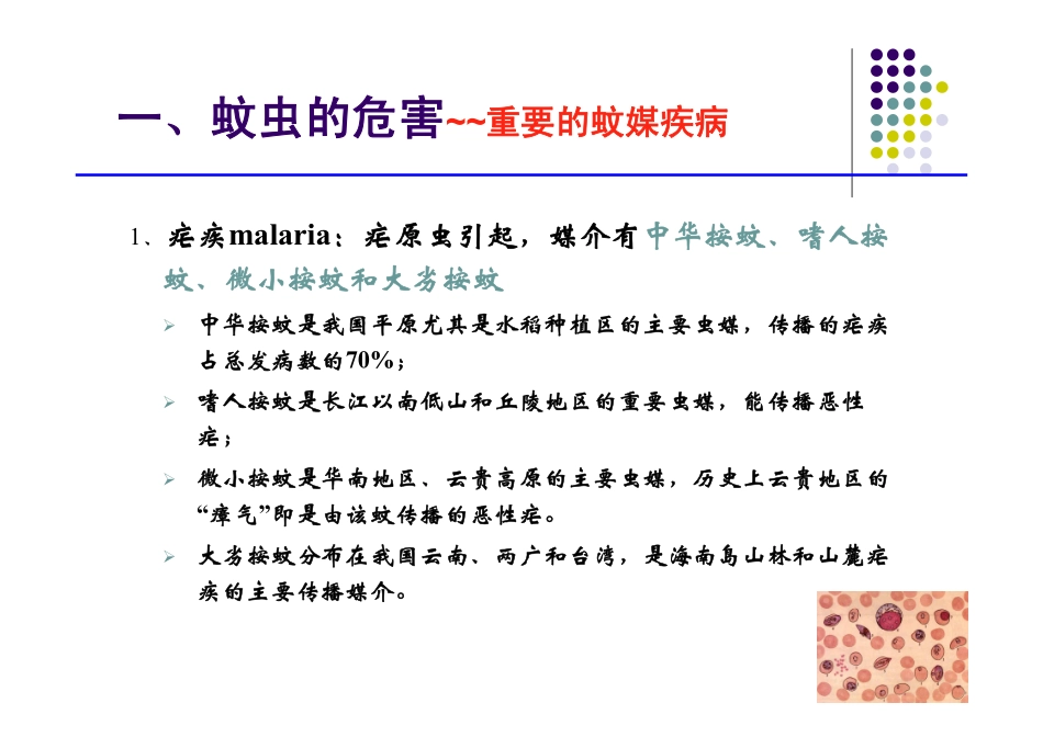 蚊虫分类鉴定技术_第3页