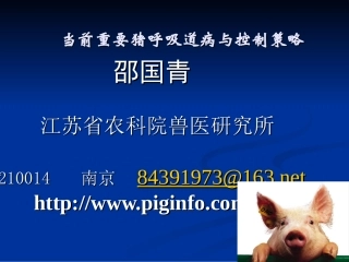 20061128当前重要猪呼吸道病与控制策略济南天邦