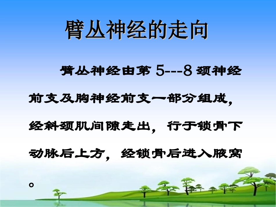 臂丛神经损伤护理_第3页