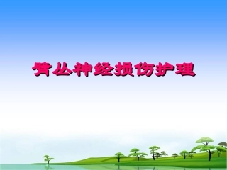 臂丛神经损伤护理