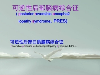 可逆性后部脑病综合征
