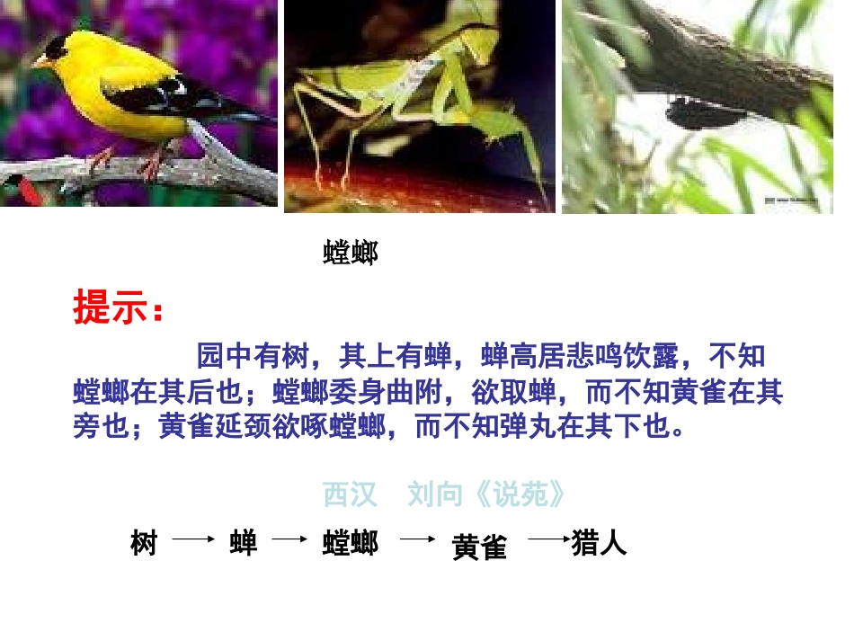 小肠适于消化吸收的结构特点_第2页