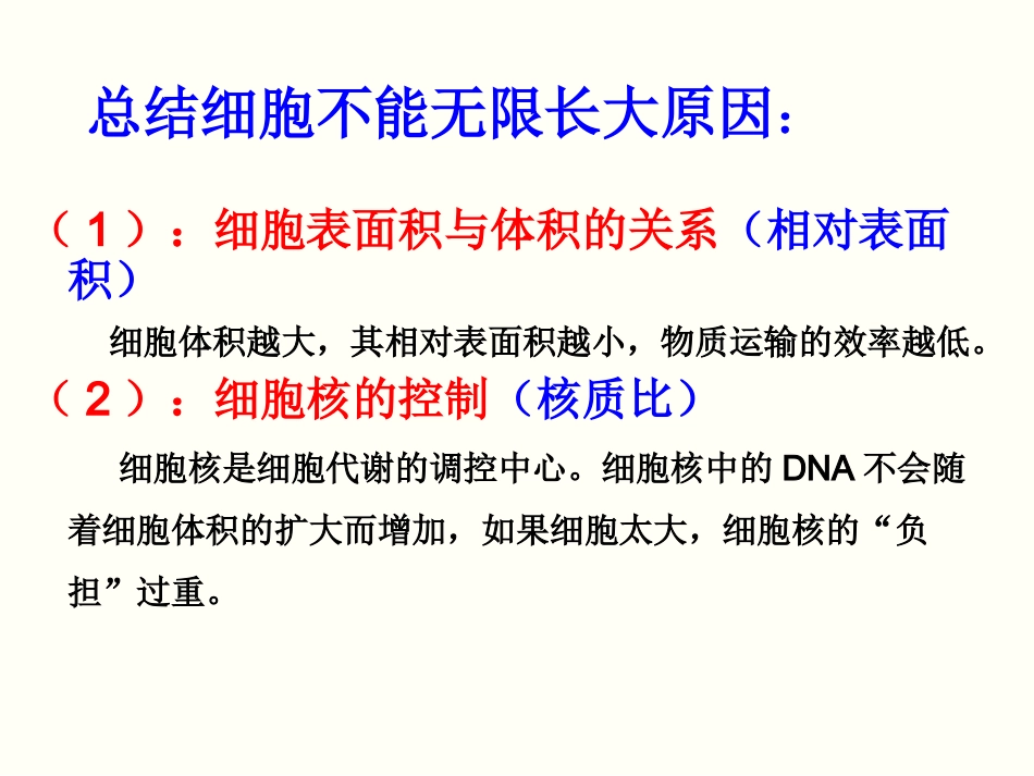 细胞的增殖讲课用_第3页