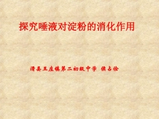 探究唾液对淀粉的消化作用