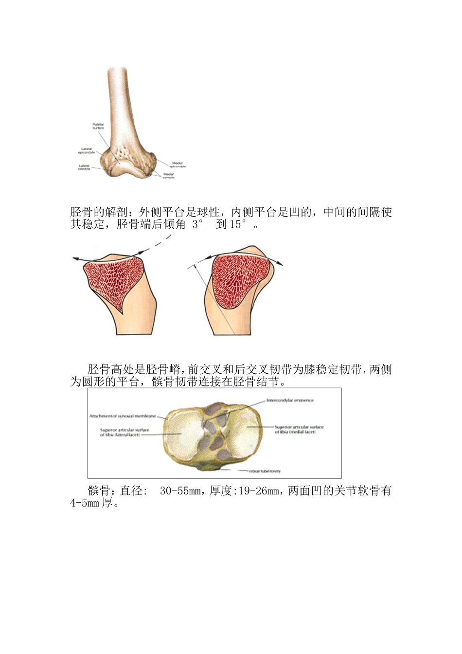 膝关节影像学分析_第2页
