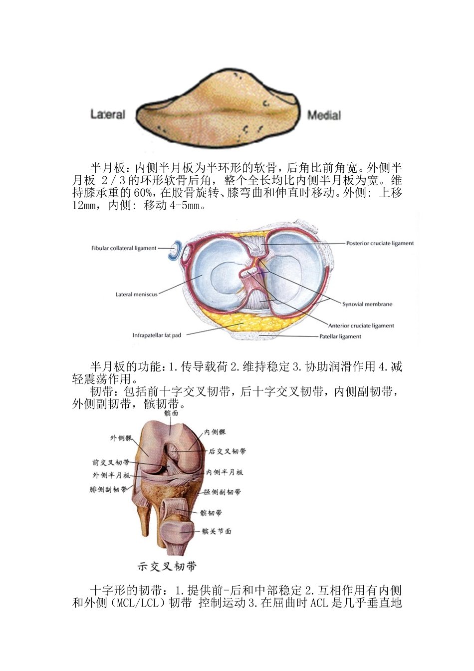 膝关节影像学分析_第3页