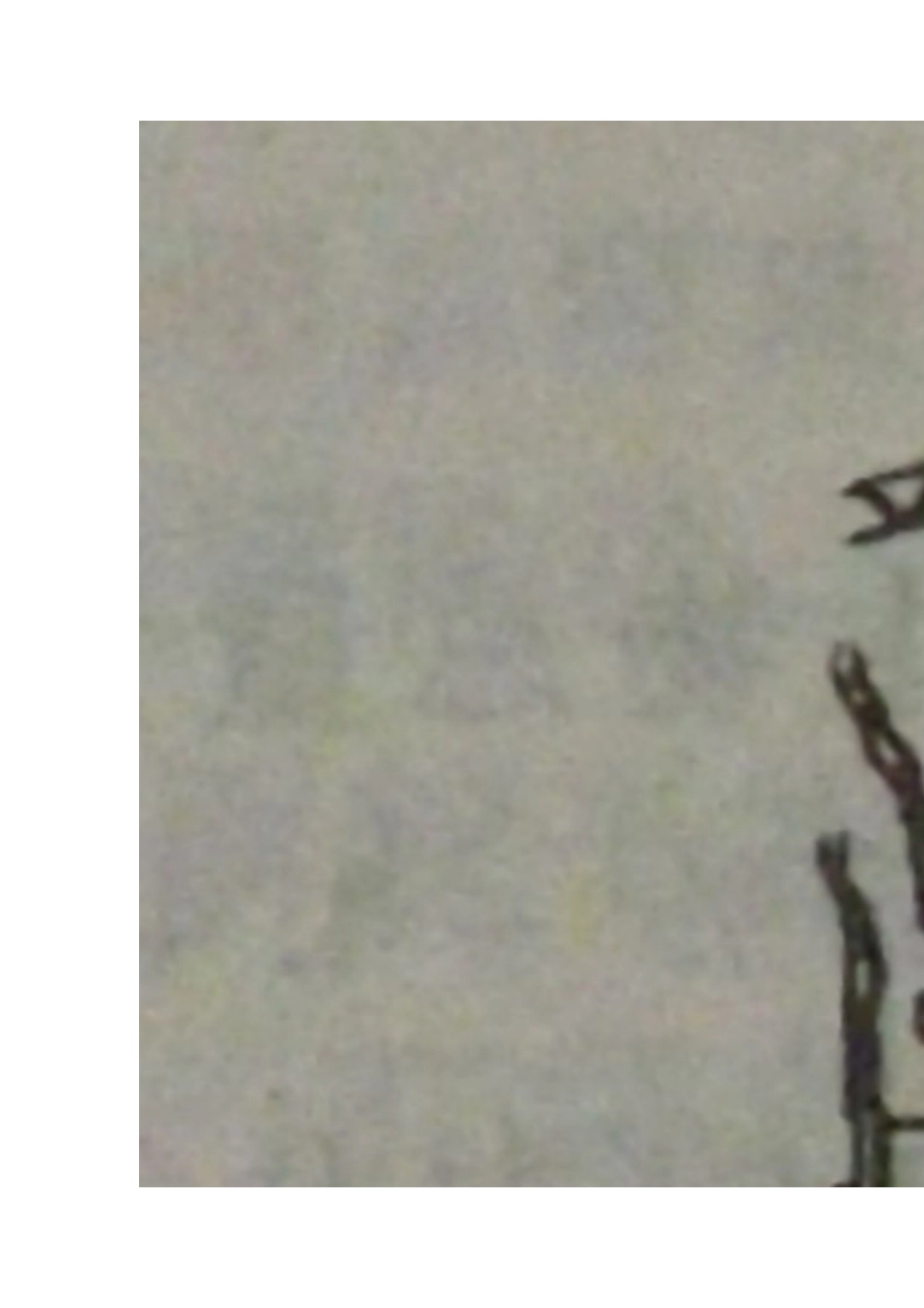 中药鉴定学名词解释_第3页