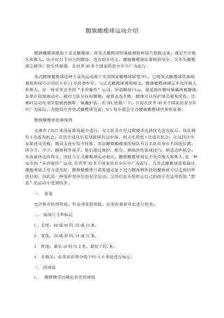 腰旗橄榄球运动介绍