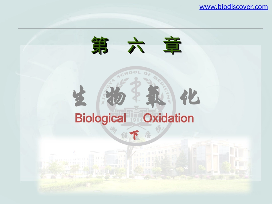 生物氧化(下)_第1页