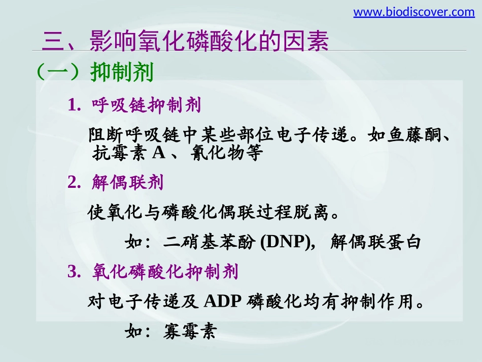 生物氧化(下)_第2页