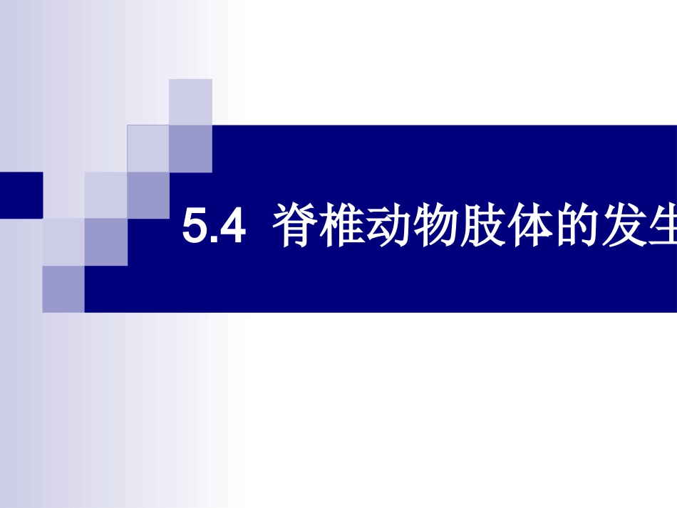 第五章 2脊椎动物肢体的发生_第1页