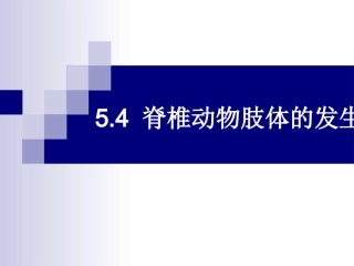 第五章 2脊椎动物肢体的发生