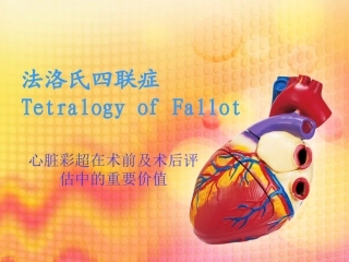 心脏彩超在法四术前及术后评价中的重要价值