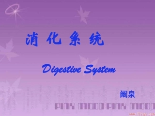 第十四章   消化管