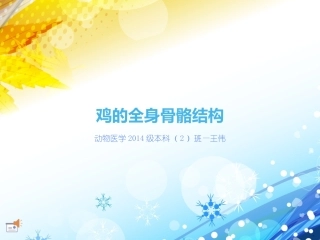 动物医学2014级本科(2)班鸡的全身骨骼结构