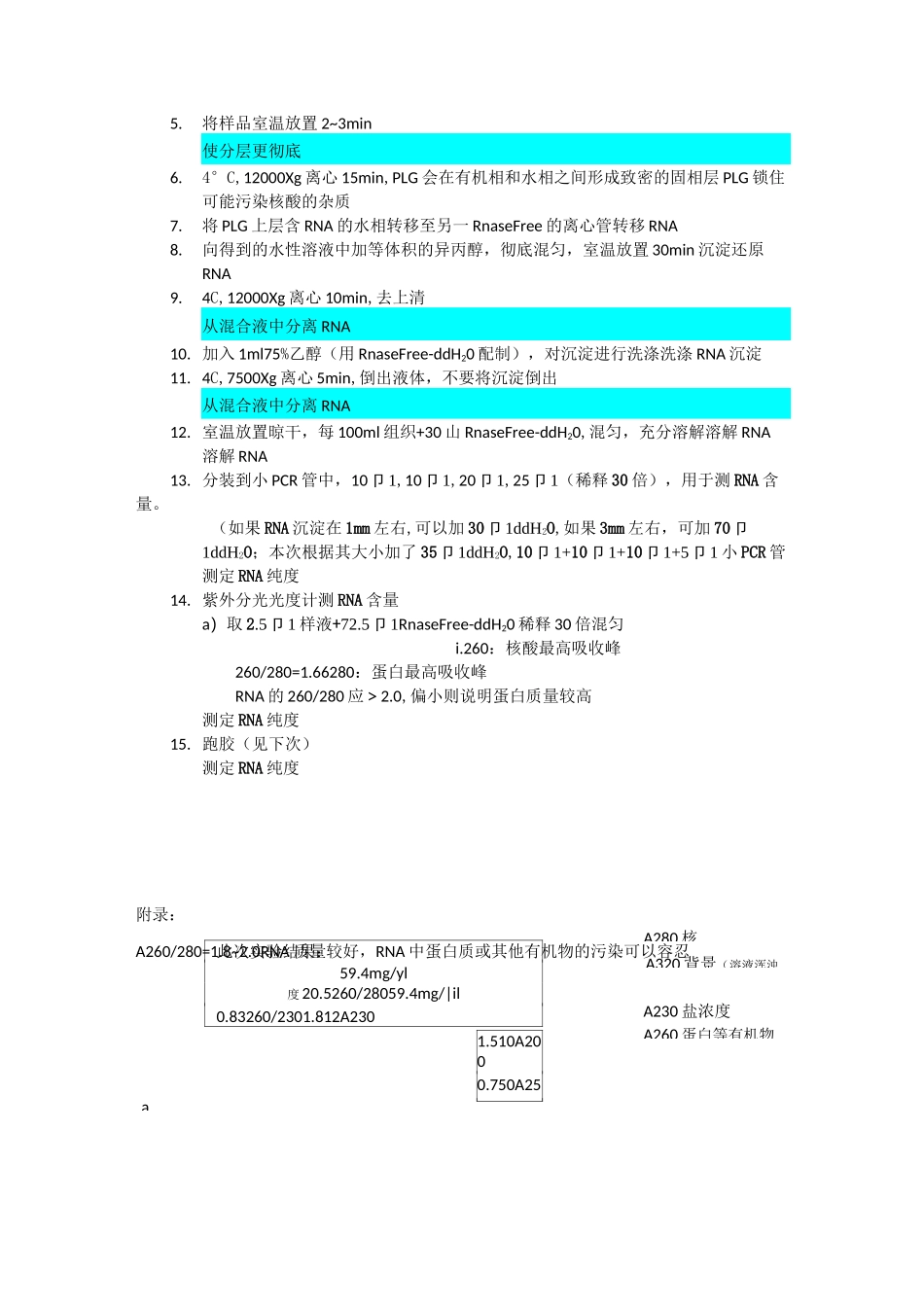 RNA提取-反转录-半定量PCR_第3页