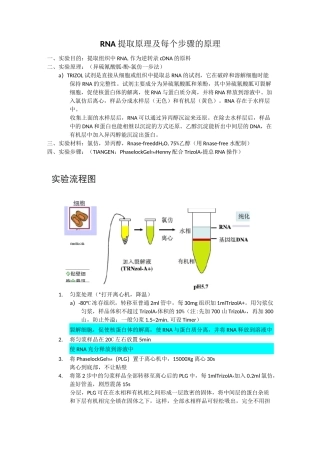 RNA提取-反转录-半定量PCR