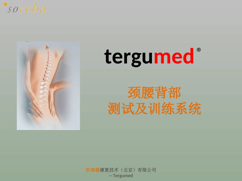 tergumed中文_第1页