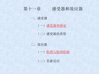 第十一章 感受器和效应器