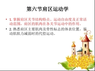 第六章肩区运动学