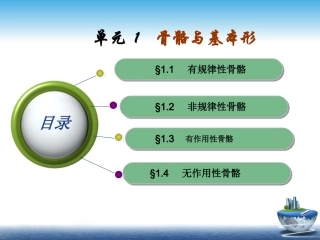 骨骼与基本形