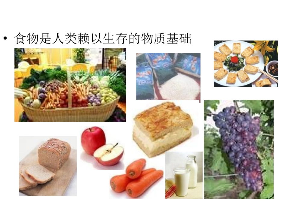 提供能量与营养的食物(精)_第3页