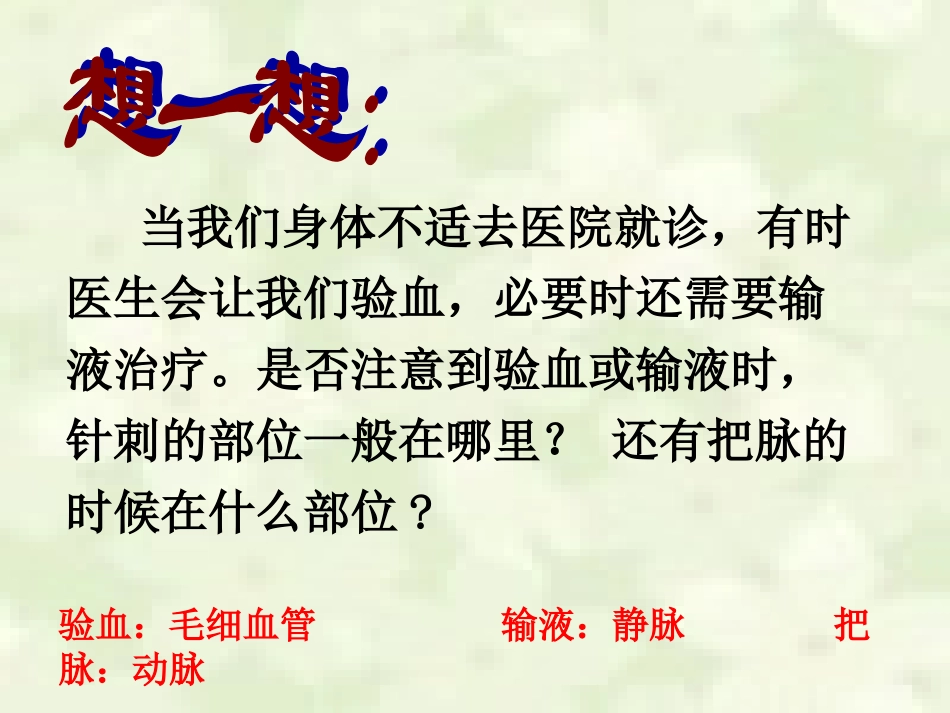 血流的管道——血管_第2页