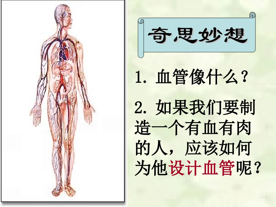 血流的管道——血管_第3页